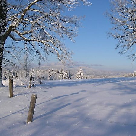 Luxury Apartment In Sumava Mountains Kristanov Exterior foto